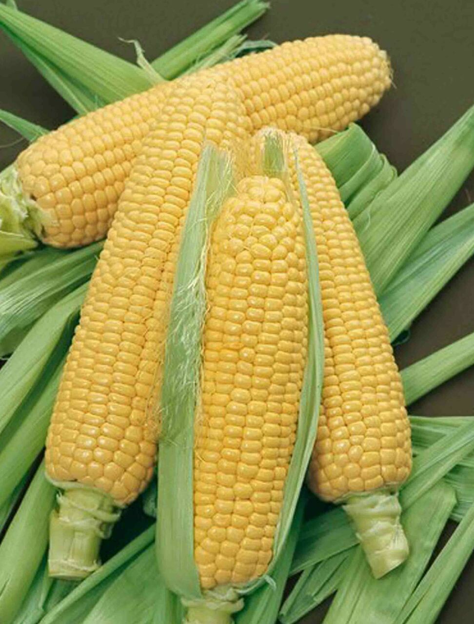 Bodacious Sweet Corn Seeds, F1 SE Hybrid, Variety Packet Sizes, FREE SHIPPING