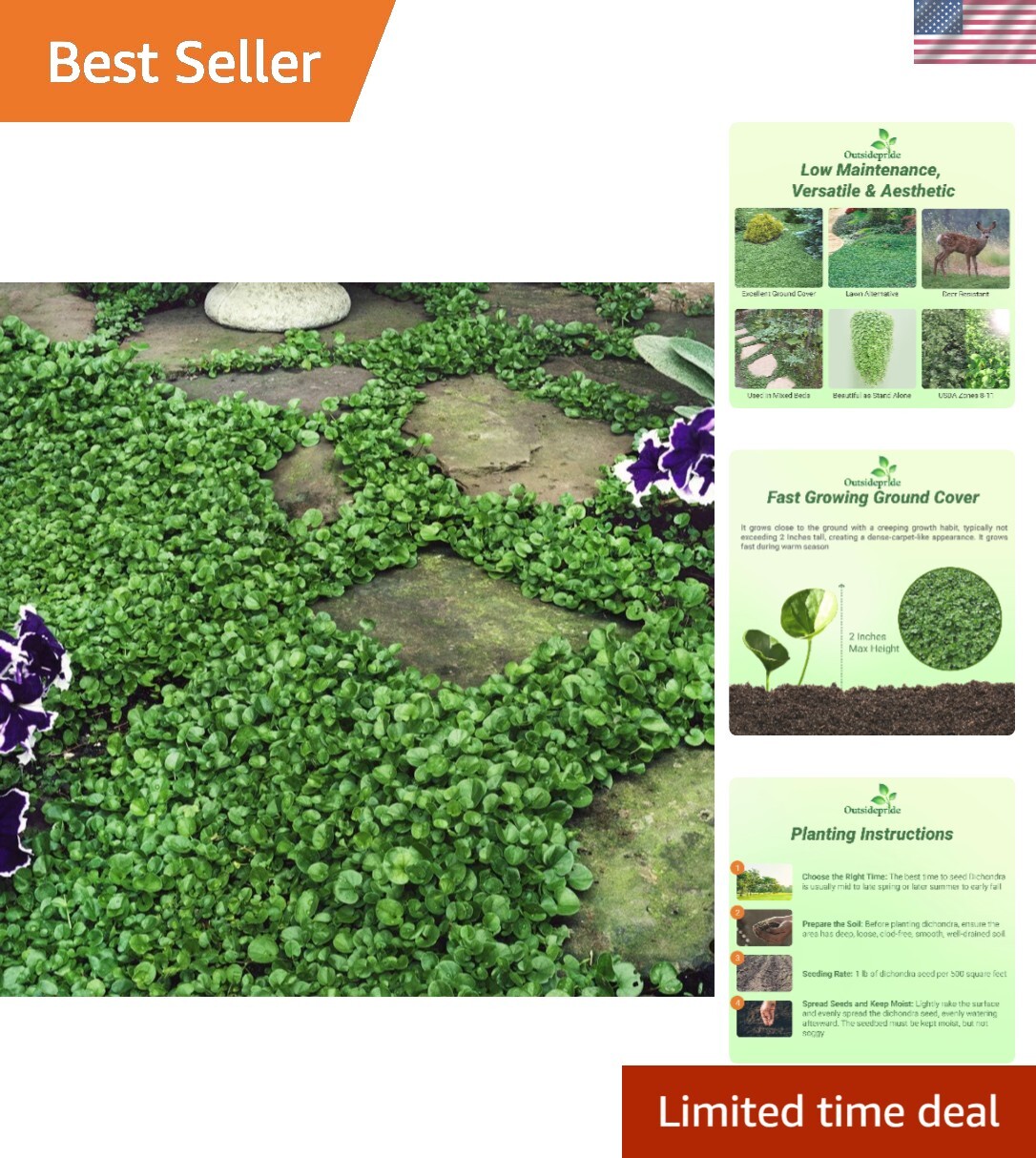 Dichondra Repens Seeds – 1 lb Low-Maintenance Ground Cover for Dense Green Lawns