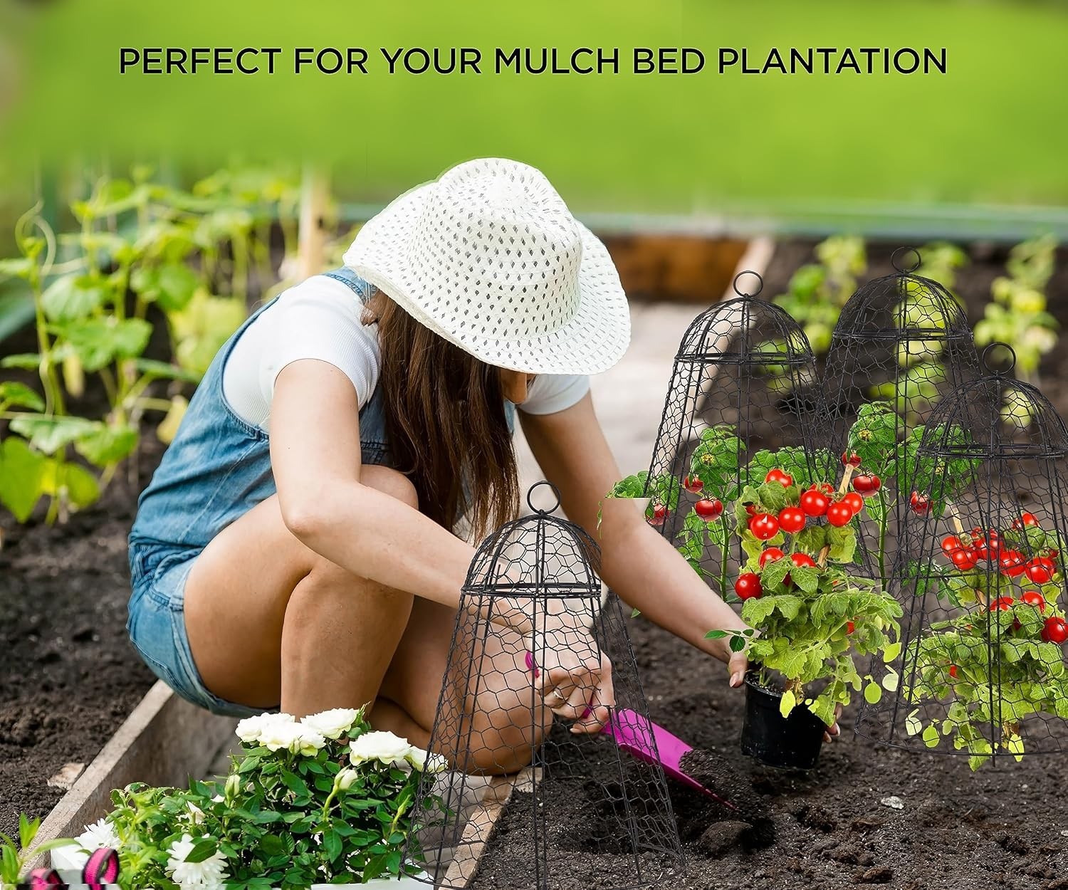 Garden Plant Cloches Steel Mesh Outdoor Protect from Animals Pack of 6