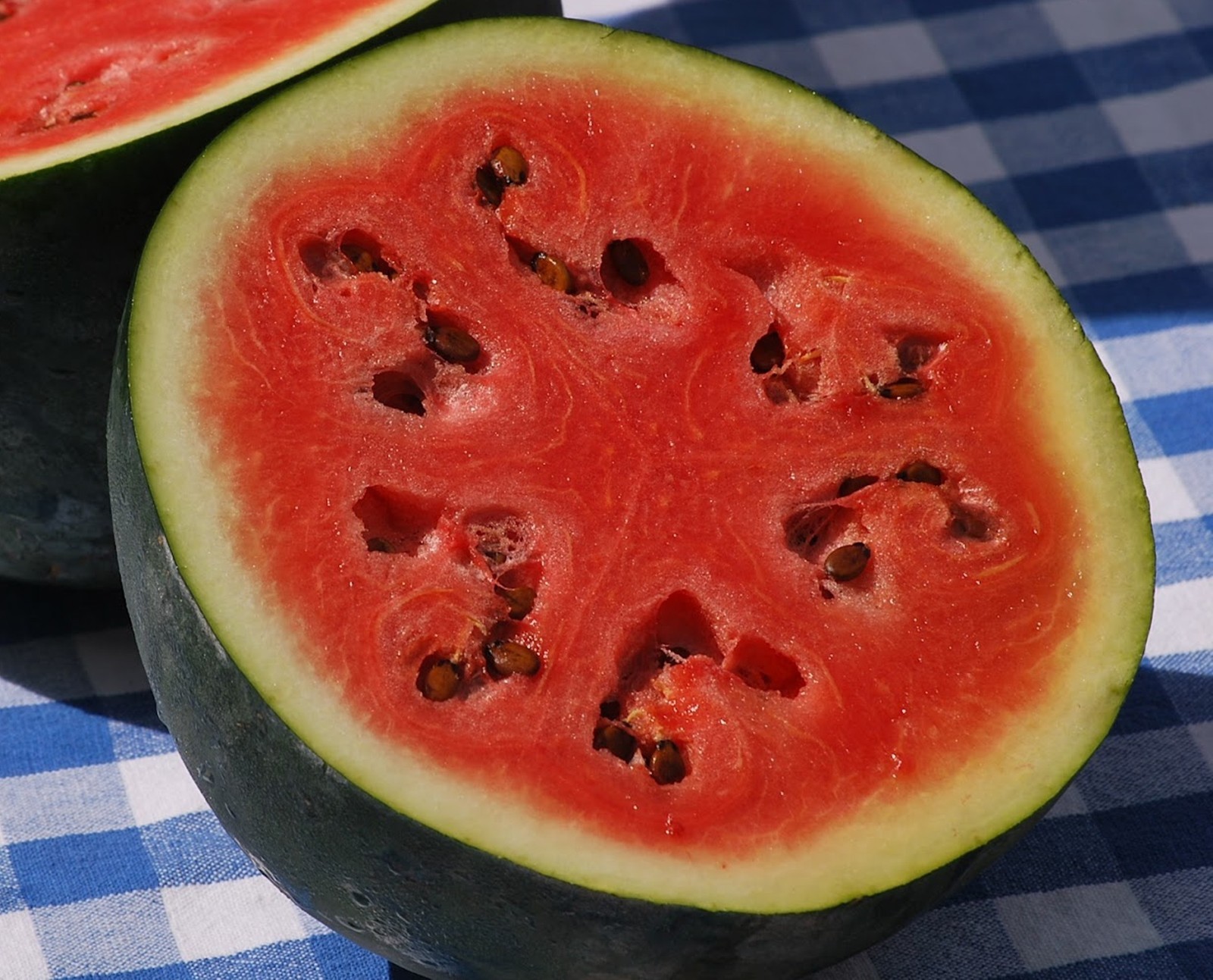 50+ Sugar Baby Watermelon Seeds- For 2021- Open-Pollinated $1.69 Max Shipping
