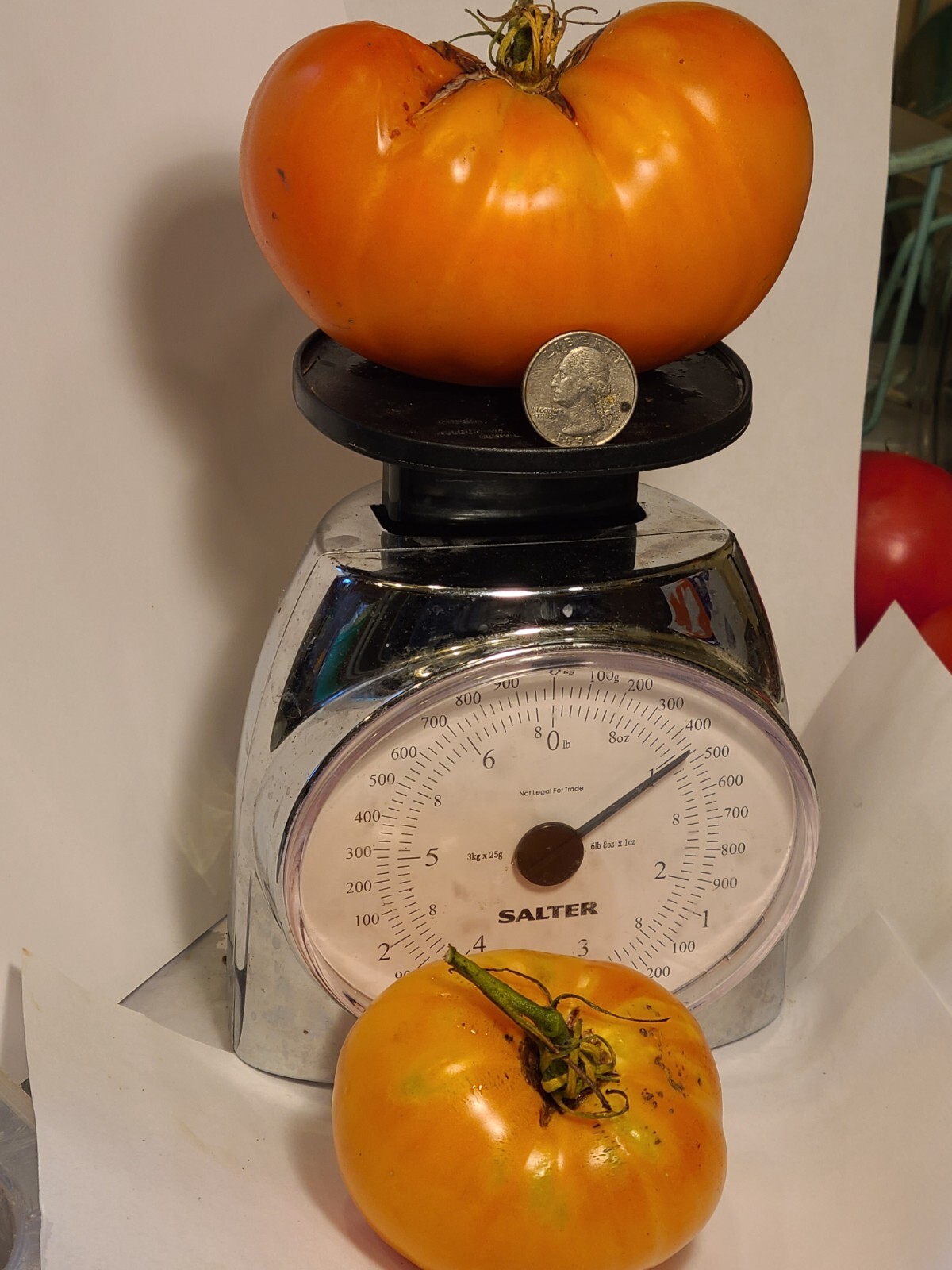 Amana Orange, Organic, Heirloom, Delicious! – 15 seeds