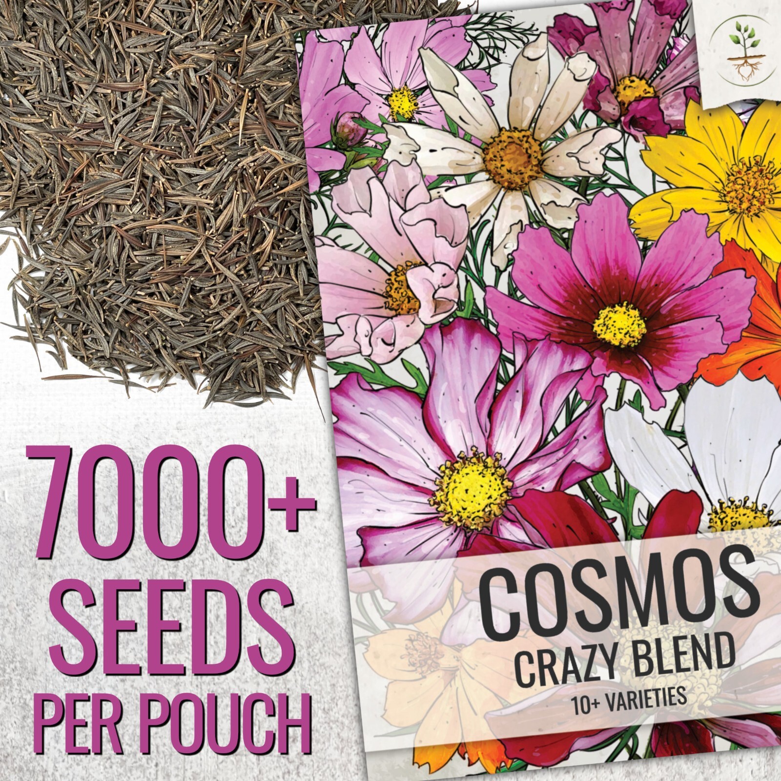 Crazy Cosmos Seeds 2 oz Pack – Annual Wildflower Mixture to Attract Butterflies