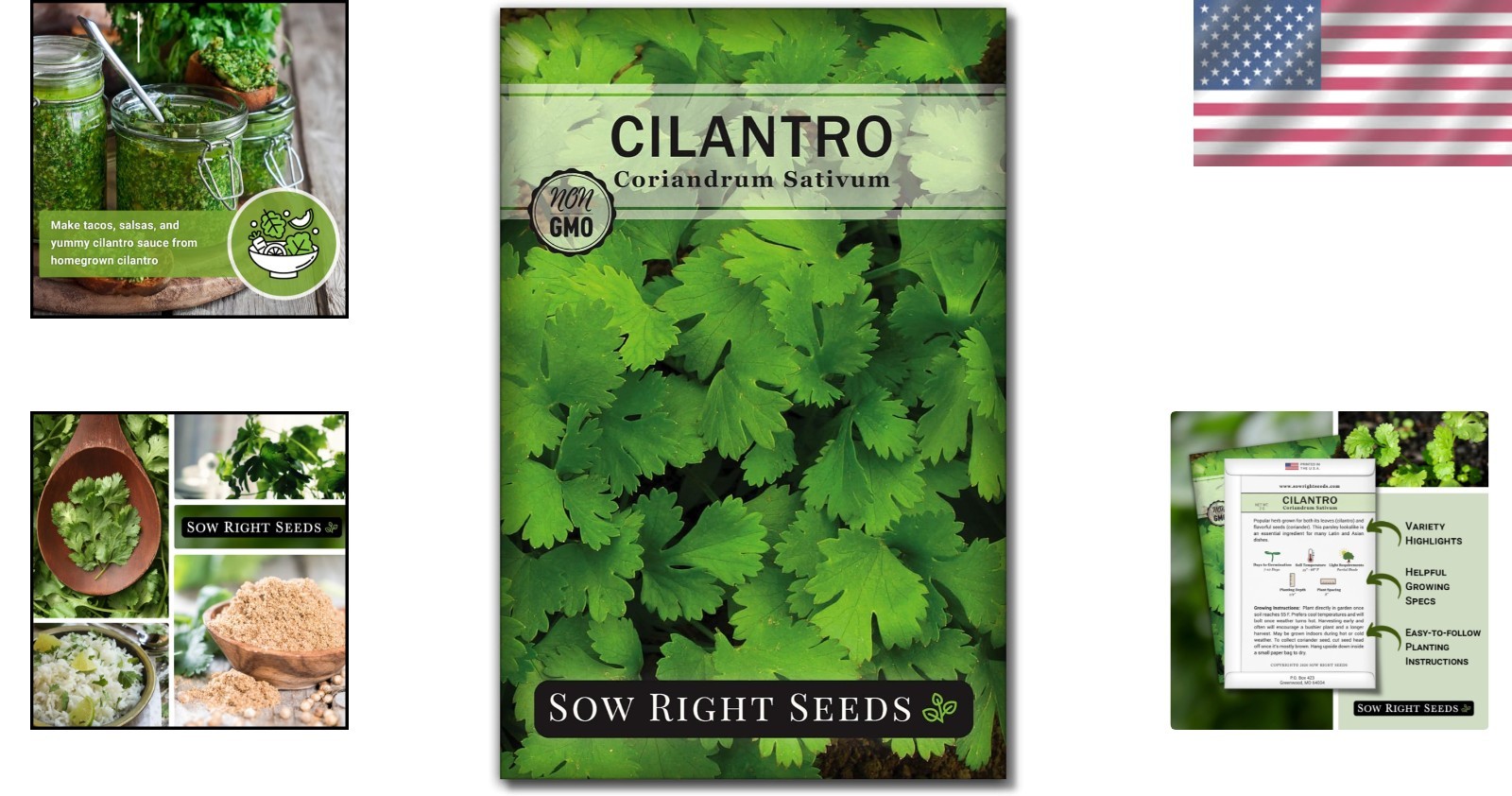 Heirloom Cilantro Seeds Non GMO Indoor Outdoor Planting Packet with Instructions