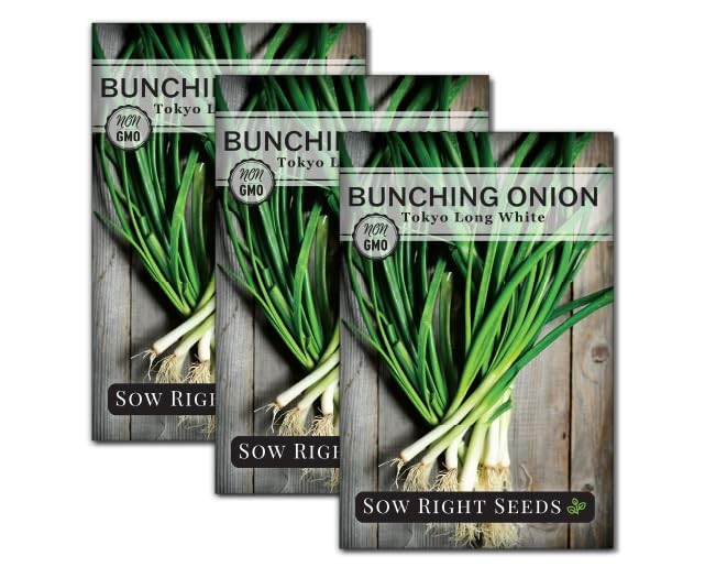 Tokyo Long White Bunching Onion Seeds – Non-GMO, Heirloom, Easy to Grow