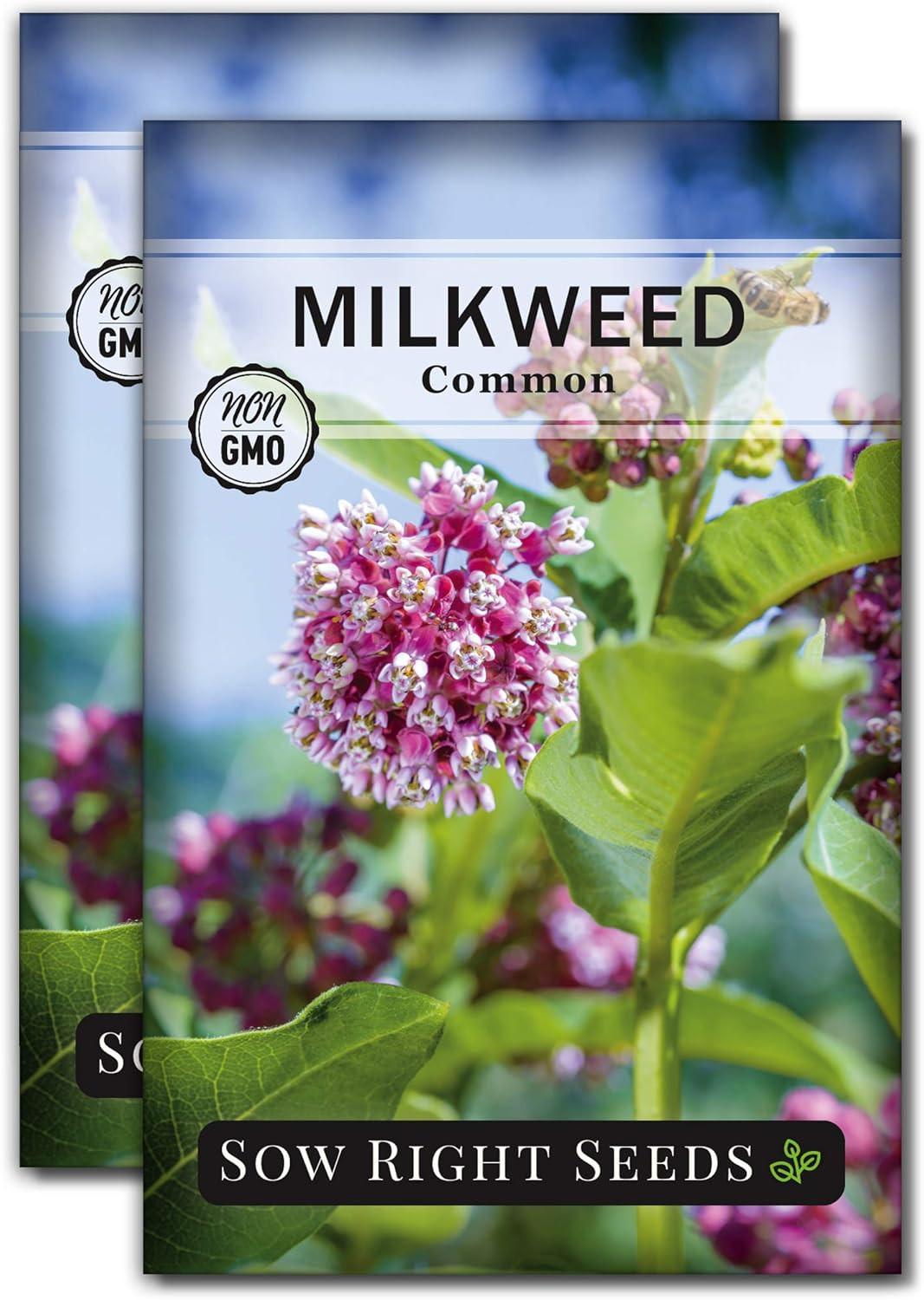 – Common Milkweed Seeds for Planting – Attract Monarch Butterflies to Your Garde