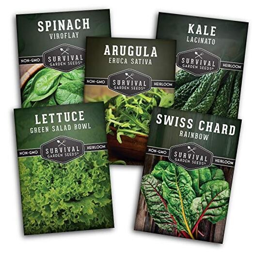 Greens Collection Seed Vault – swiss chard, kale, lettuce, spinach, arugula