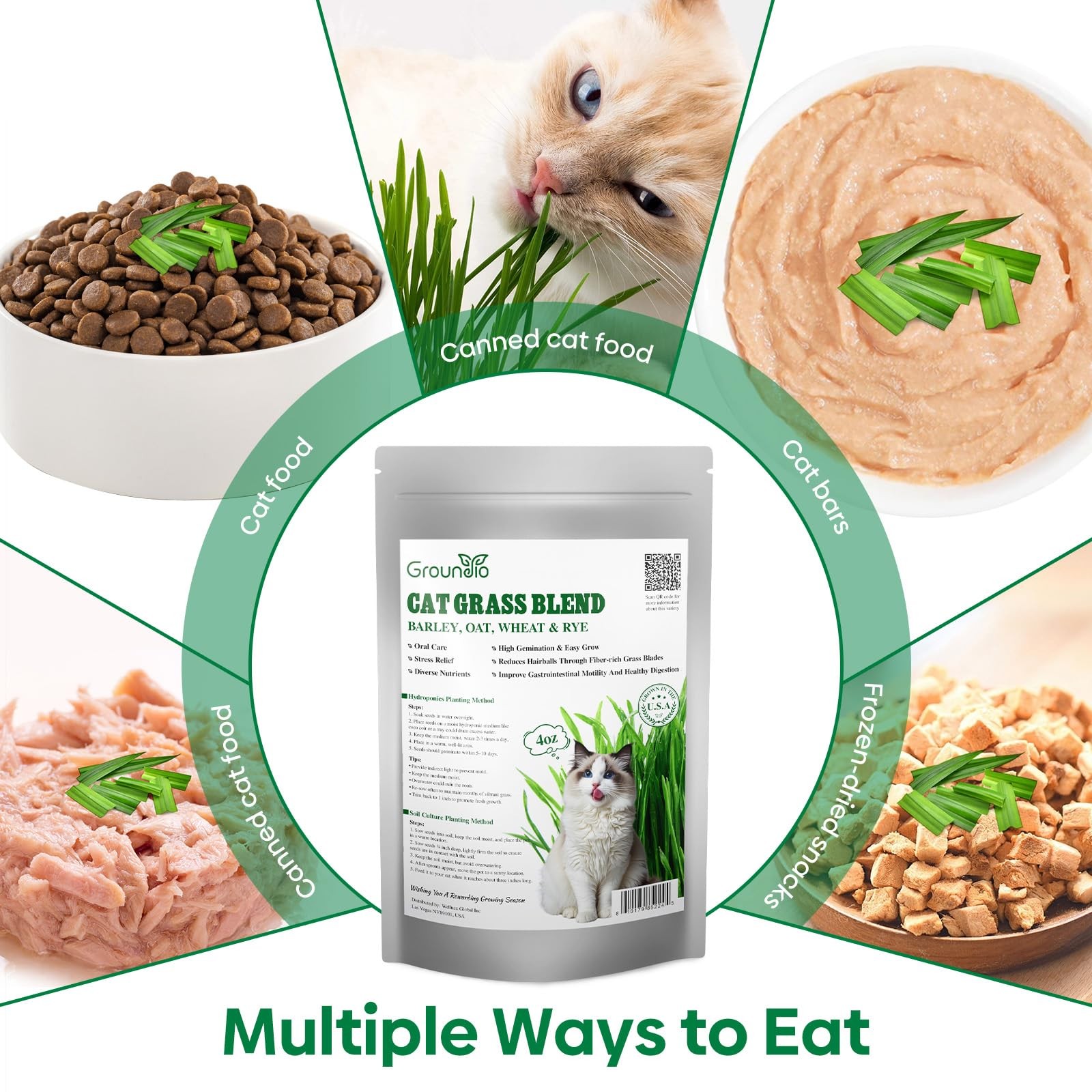 Cat Grass Seeds, 4 Ounce