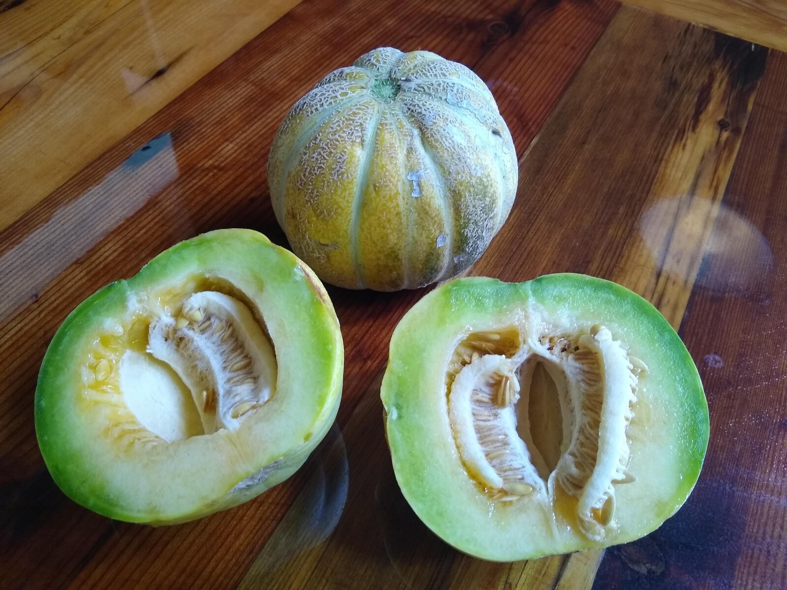 Ogen Melon ~ 12 to 1000 seeds~ Ha-Ogen ~ Israel Ogen ~