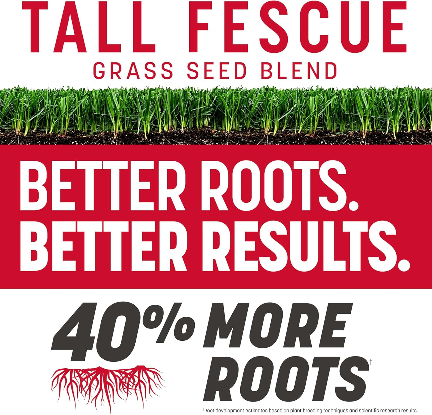 the Rebels Tall Fescue Grass Seed Mix 20 Lb