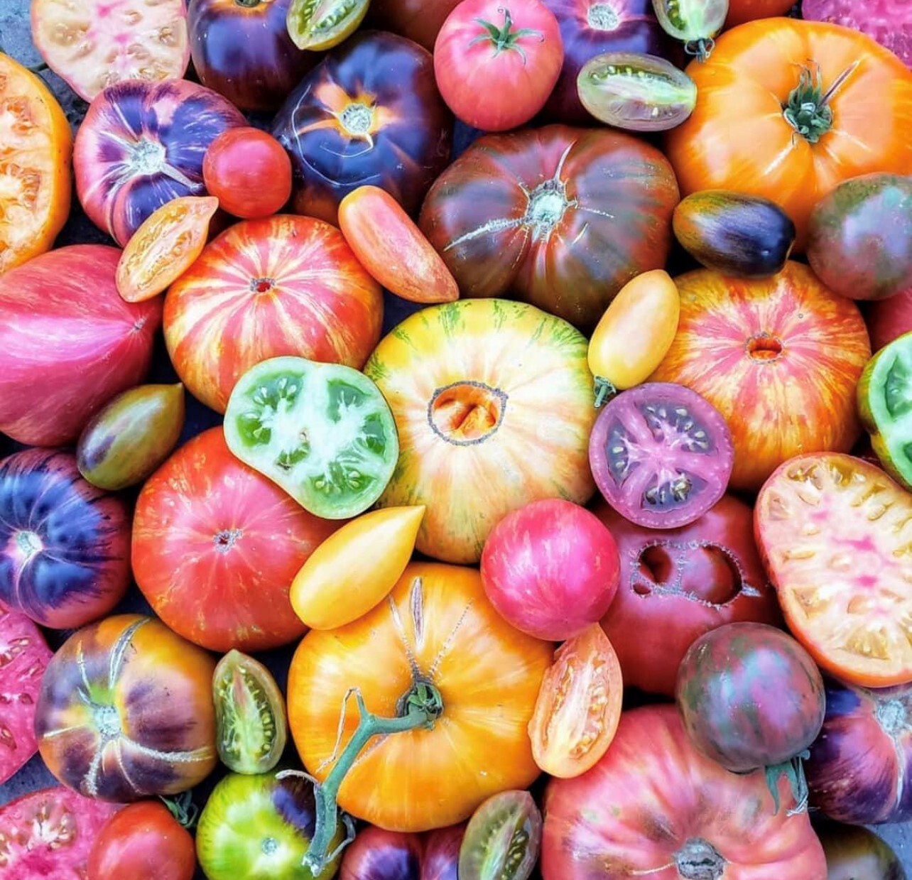 Sale** (1 Ounce 7,500-10,000 Seeds) Heirloom Tomato Mix | Heirloom | Organic
