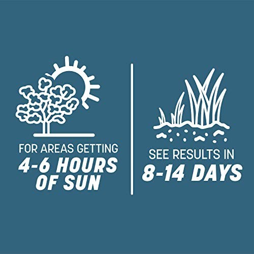 Northeast Grass Seed Mix 20 lb – Smart Seed for Lush Lawn, Drought Resistant, Fa