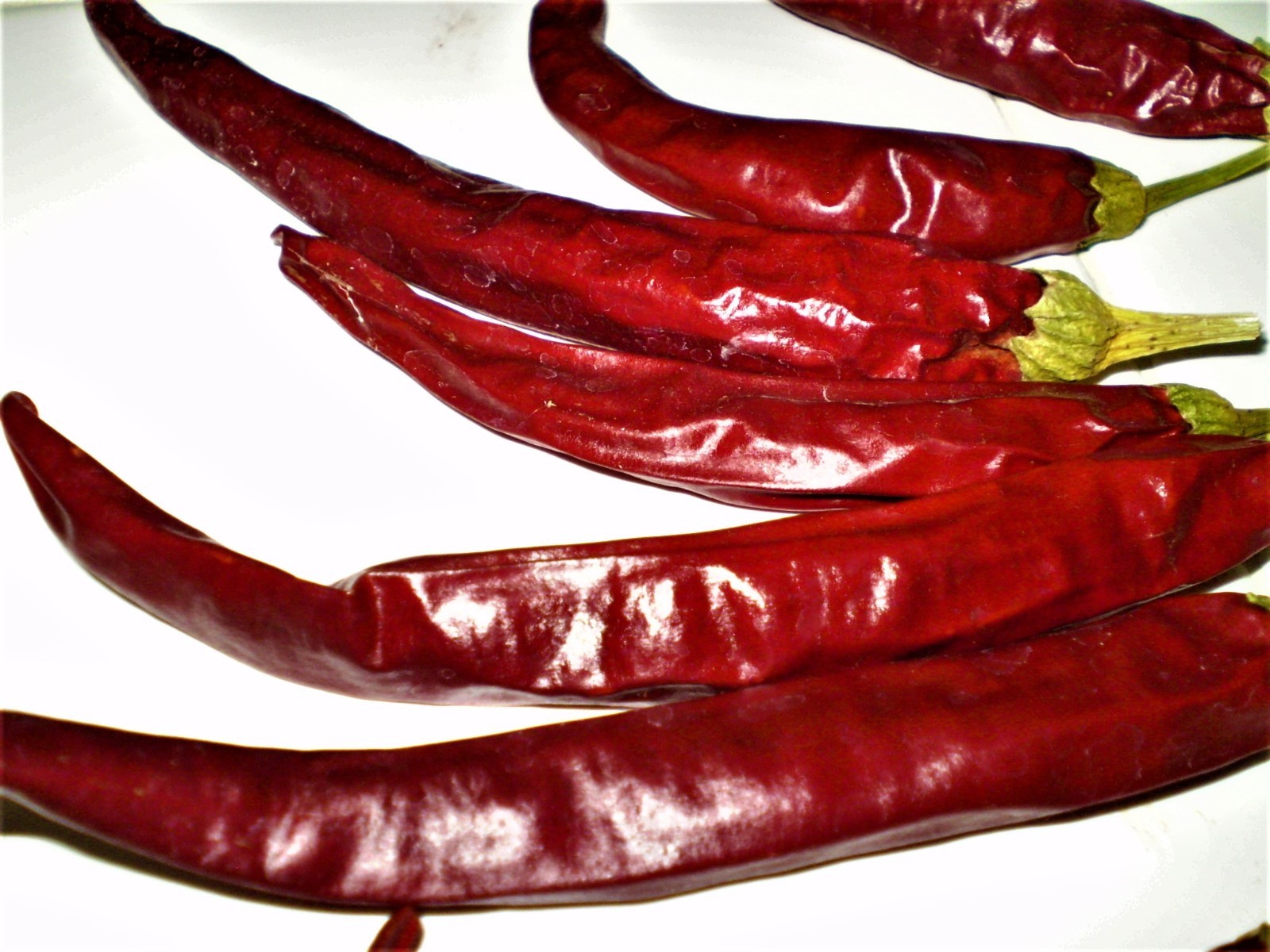 Mexican Finger Hots red chili pepper seeds NON GMO heirloom open pollinated
