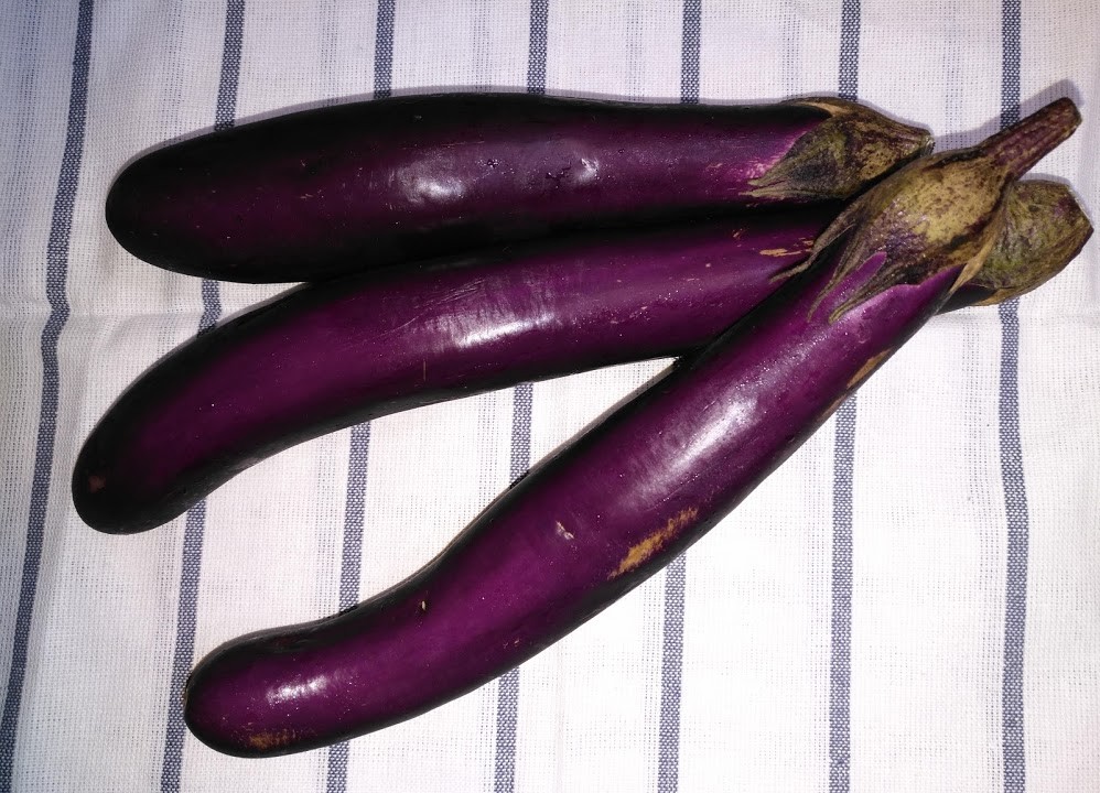 50 Chinese Long Purple Eggplant Vegetable Seeds F1 Hybrid for Container & Patio