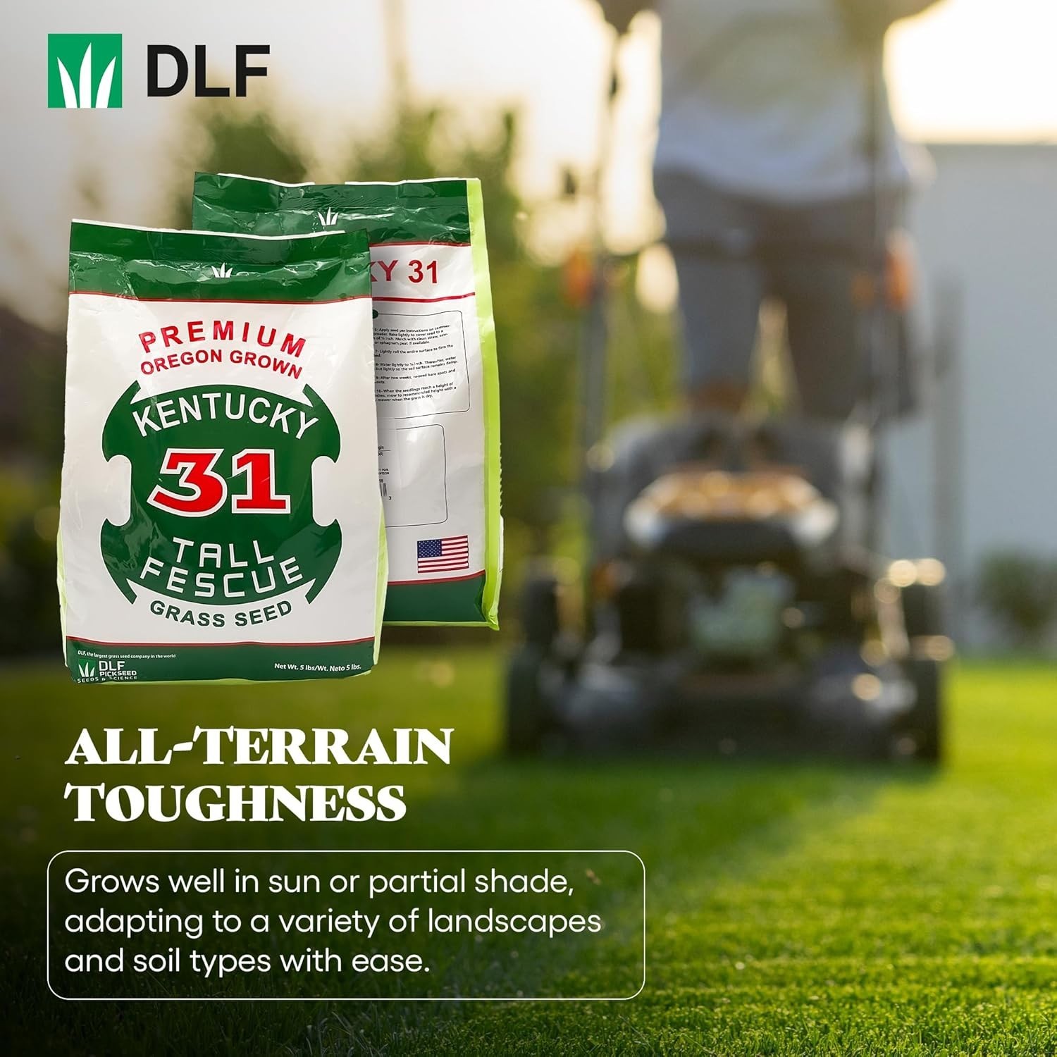 Tall Fescue Grass Seed Kentucky 31 5lb Sun & Shade Durable High Traffic Lawns