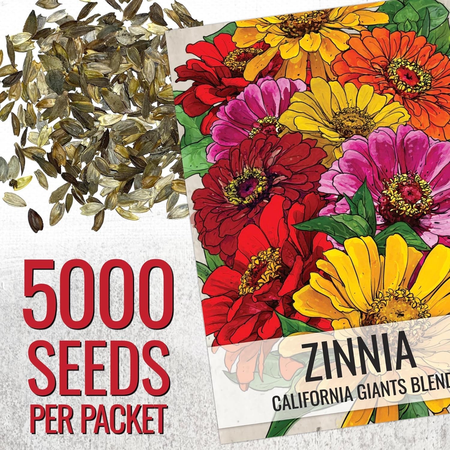 Zinnia Seeds California Giants Variety 5,000+ Heirloom Seeds Zinnia Elegans