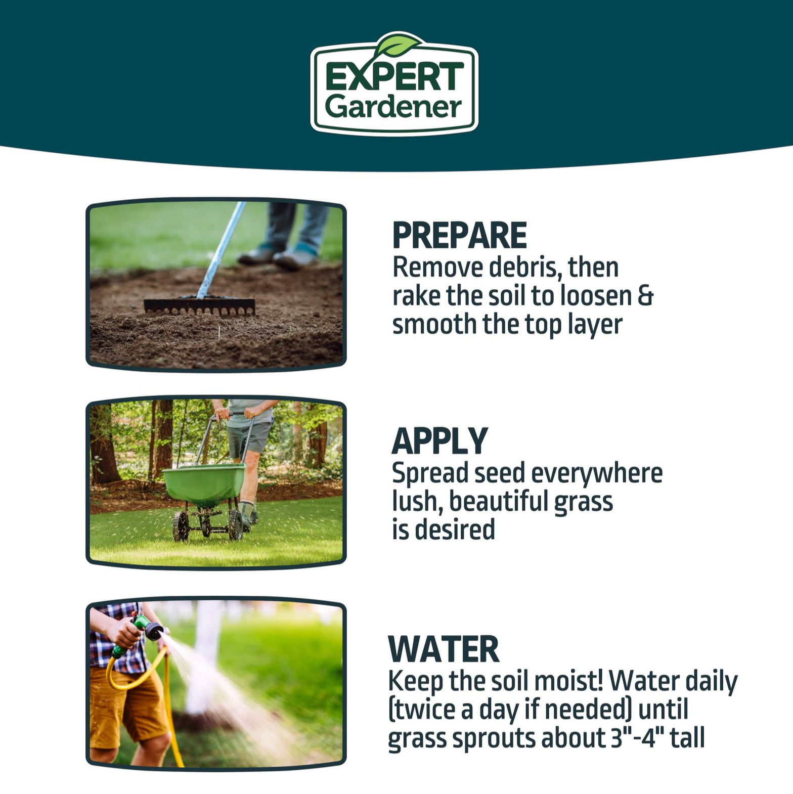 Expert Gardener Kwik Grass Seed Mix 3lb | Sun to Partial Shade Lawn Seed