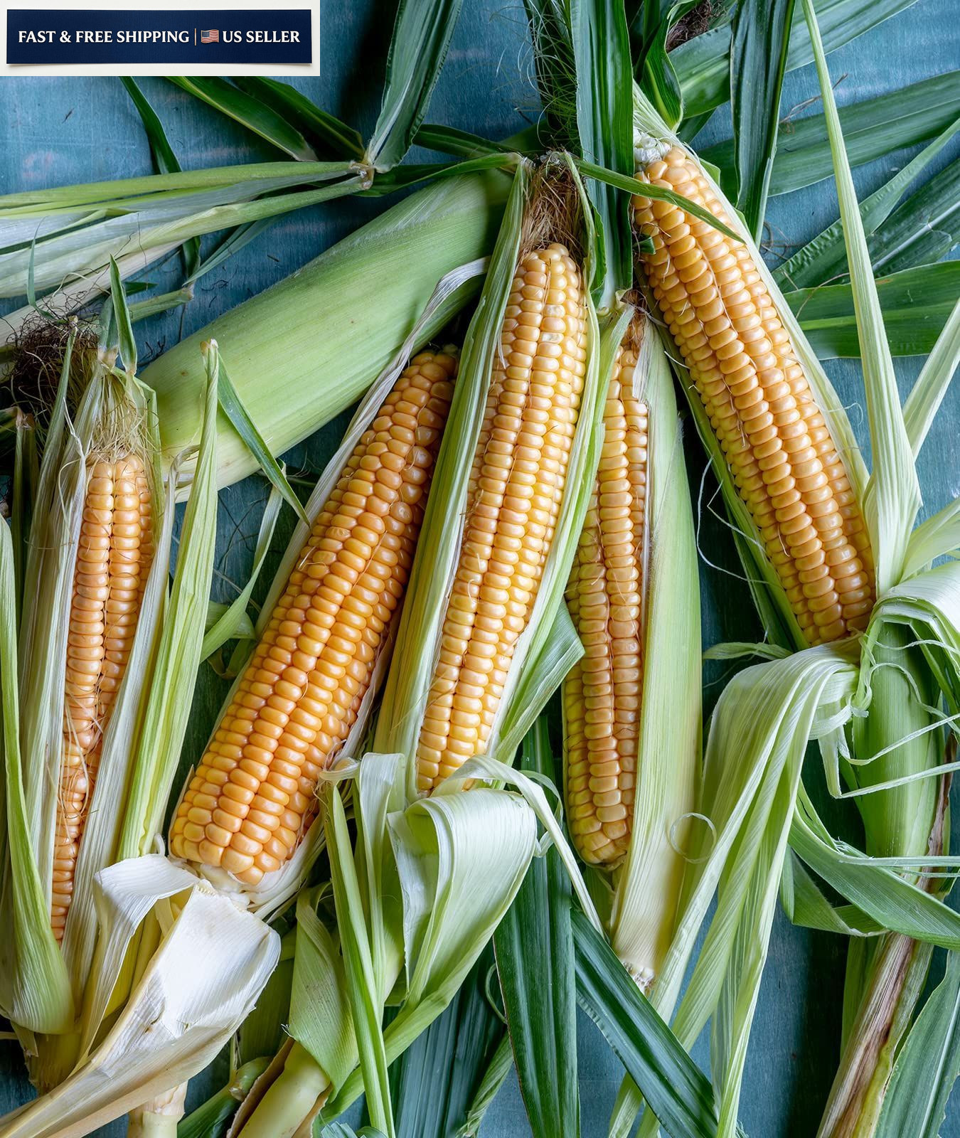 Burpee Golden Bantam Sweet Corn Seeds 200 seeds 200 Seeds,