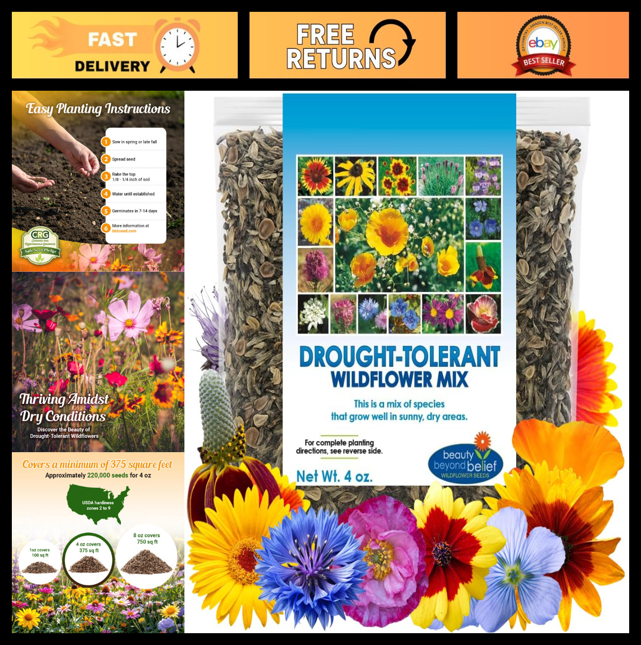 Drought Tolerant Wildflower Seeds – 4oz Bulk Flower Seed Mix for Perennial & Ann