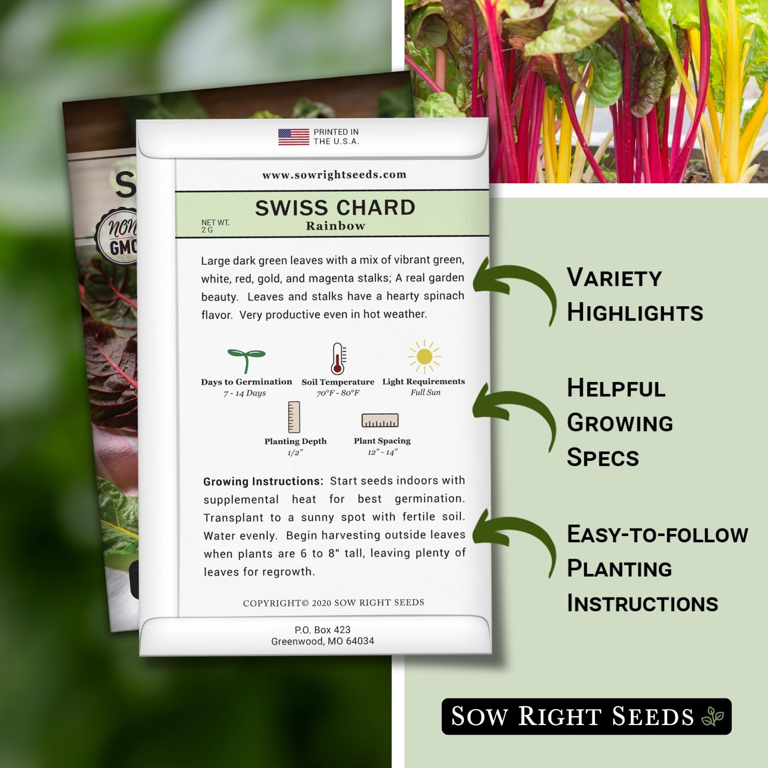 Rainbow Swiss Chard Seeds NonGMO Heirloom for Home Vegetable Garden