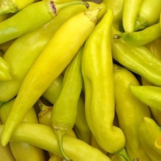 Seet Banana Pepper Seeds Organic Non Gmo Quantity 20