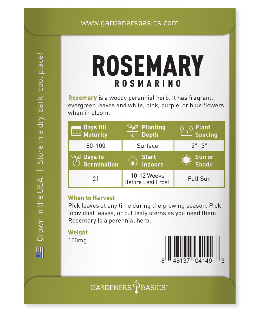 Rosemary Seeds