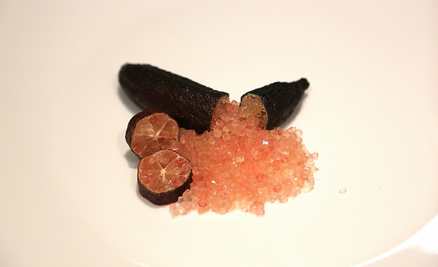 Rare EMMA Australian Finger Lime- 3 cuttings
