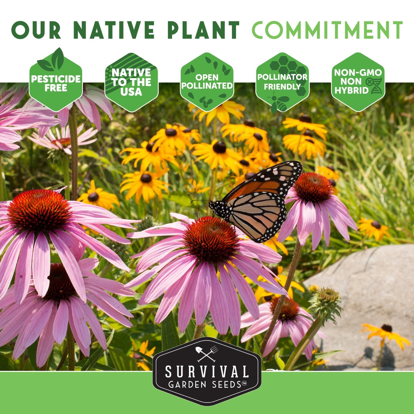 Wildflower Seeds Variety Pack – 24 Non-GMO Perennial & Annual Flowers for Pollin
