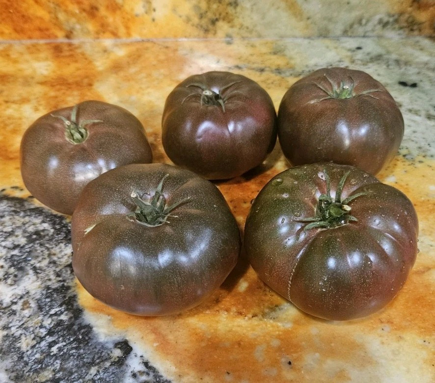 Russian Black Krim Tomato Seeds (30) / Organic / DELICIOUS / Rare