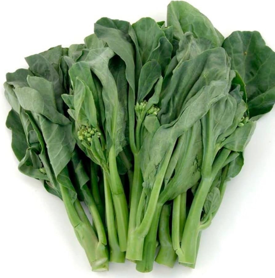 600+ Chinese Kailaan Chinese Broccoli GaiLan Seeds 鸡腿芥兰种子 , Cải Rổ