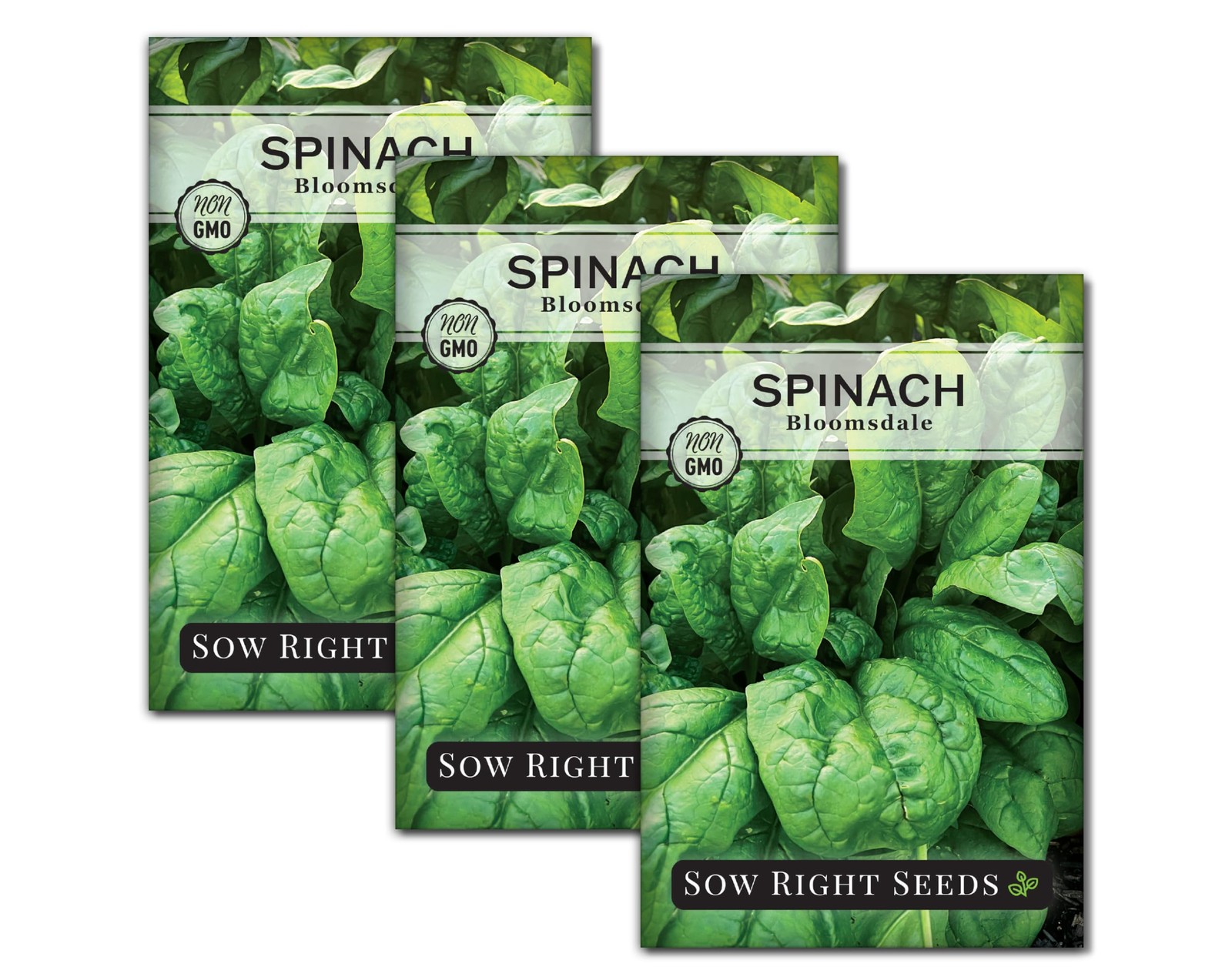 Bloomsdale Spinach Seeds NonGMO Heirloom for Indoor/Outdoor Gardens