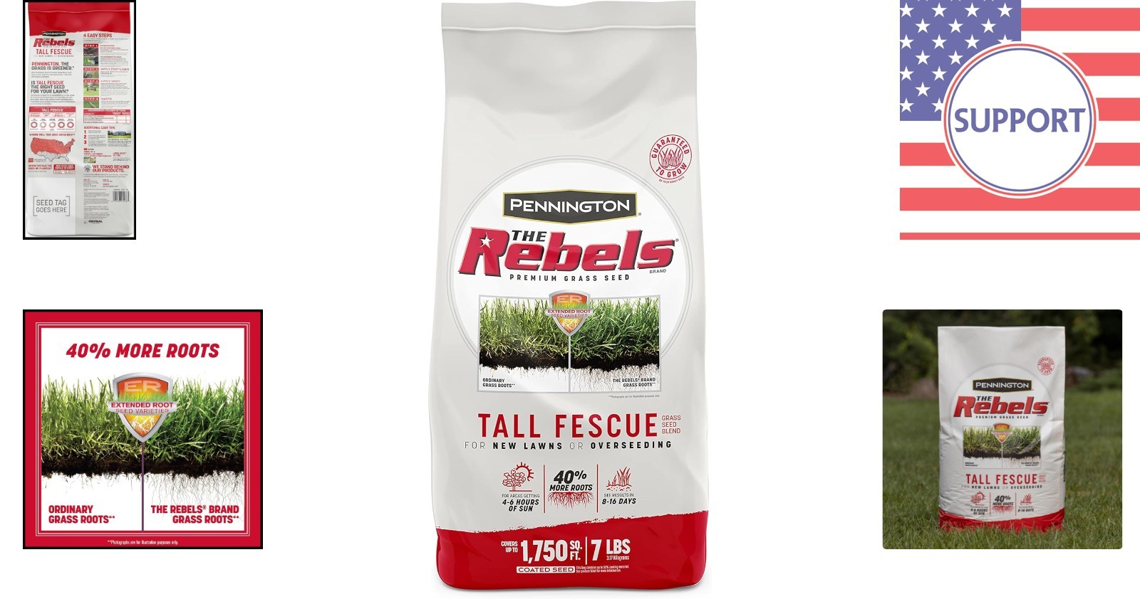 Opt for Quality with 7 lb Rebels Tall Fescue Grass Seeds for Unique Lawns