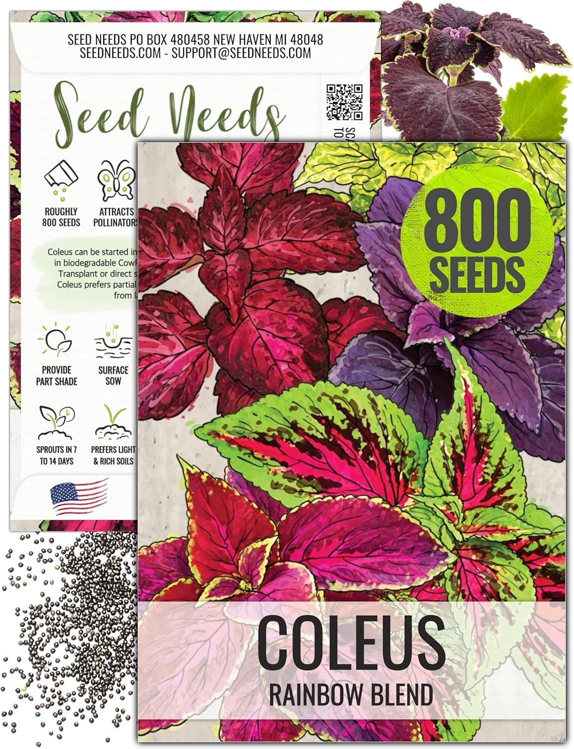 800 Heirloom Coleus Seeds for Outdoor Butterfly Garden – Easy Grow, Full Color