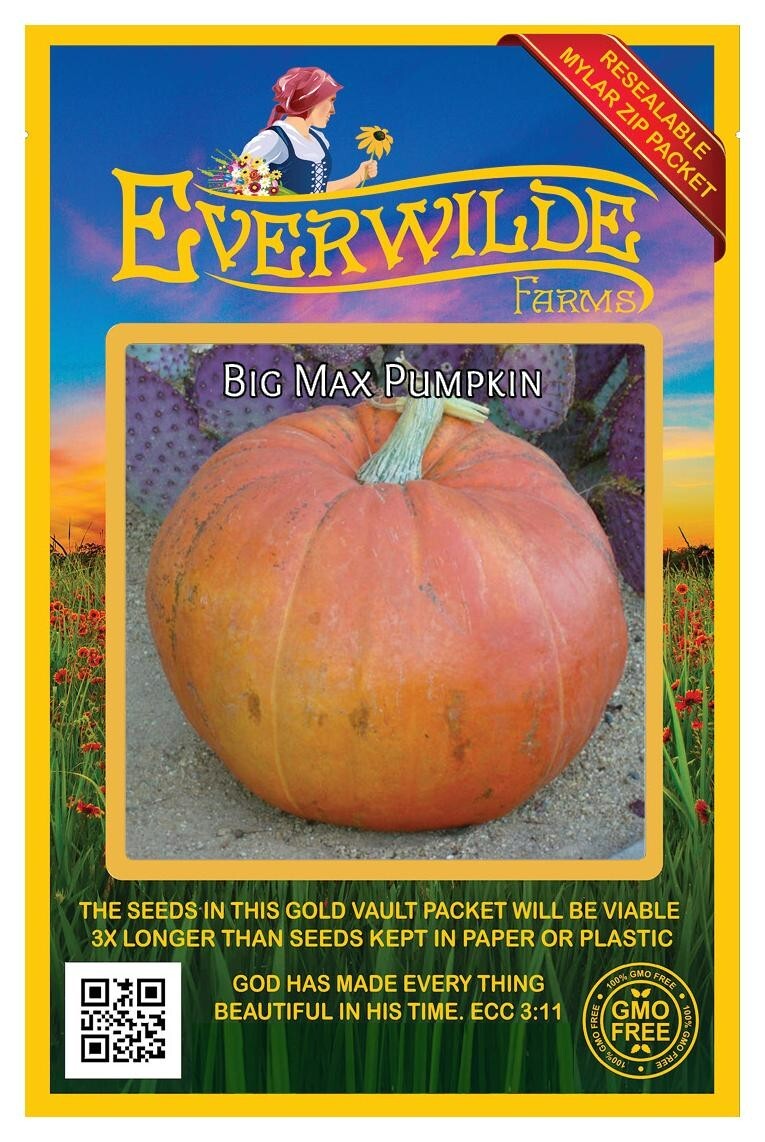 1 Oz Big Max Pumpkin Seeds – Everwilde Farms Mylar Seed Packet