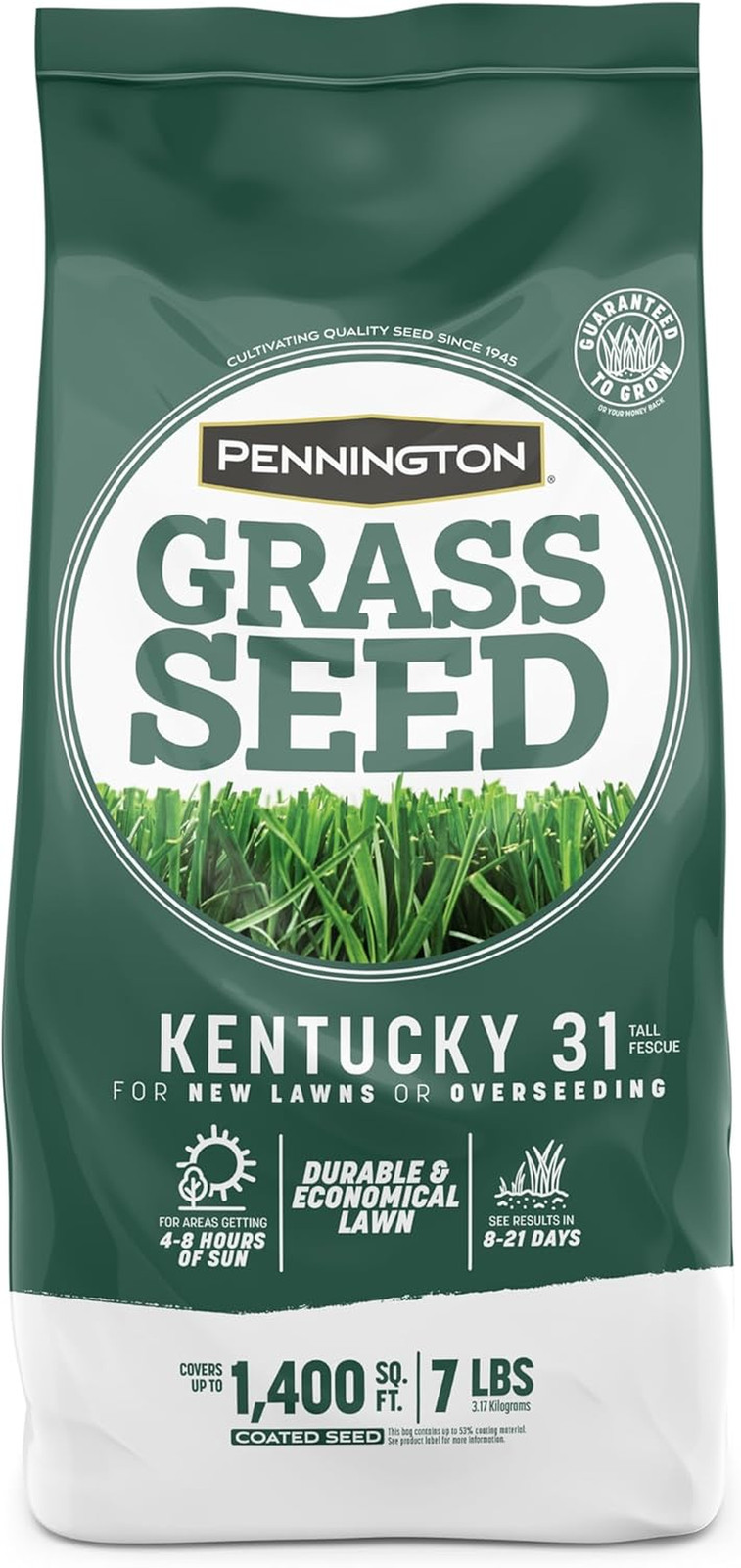 Kentucky 31 Fescue 7 LB Tall Fescue Grass Seed, Grass Seeds for Lawn