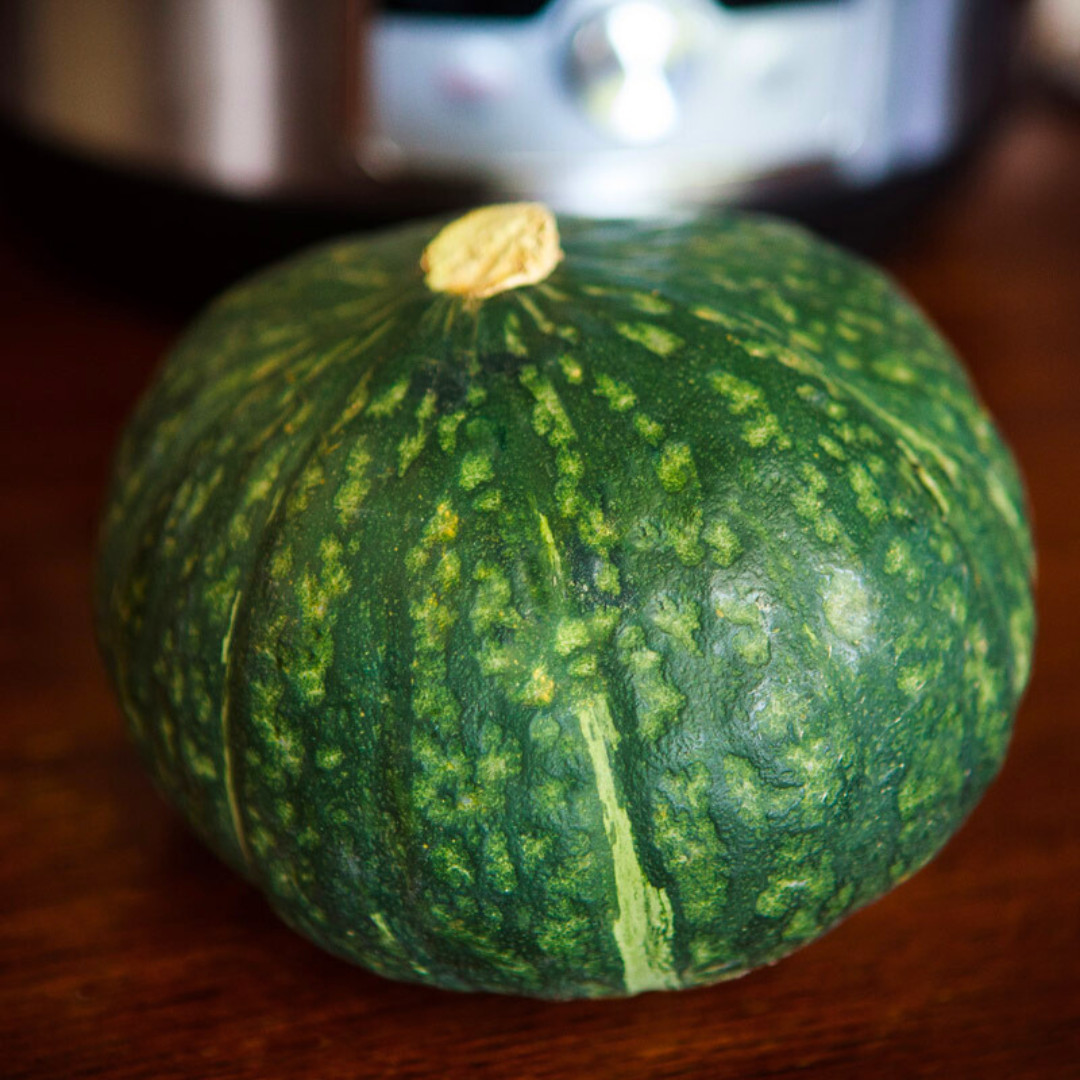 Fresh Japanese Kabocha Pumpkin 10 Seeds | Heirloom | Non-GMO | Asian Vegetables