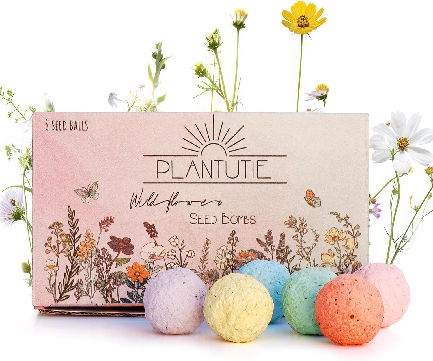 Wildflower Seed Bomb Gift Box – 6 Colorful Hand Rolled Seed Balls for Easy Gar