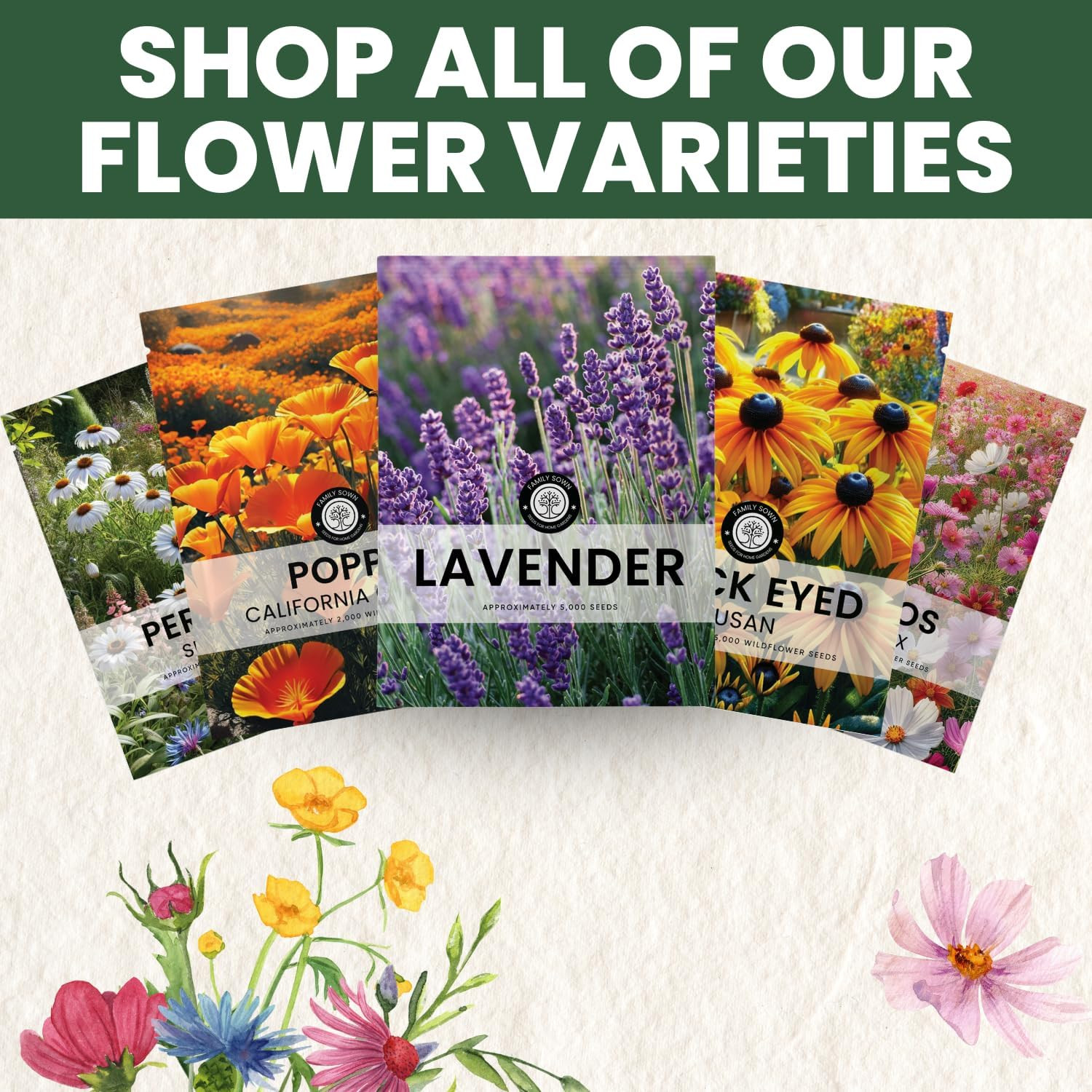 Lavender – 5,000 Seeds for Planting – 2026 Season – 5 Gram Pouch