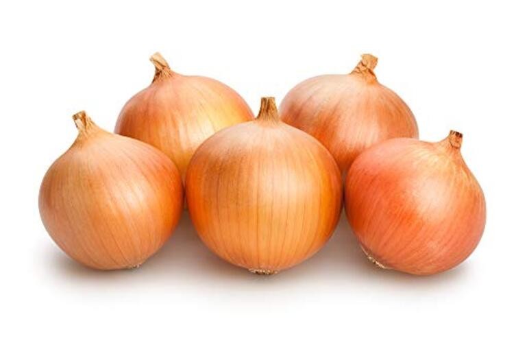 Candy Hybrid Onion Seeds (Allium cepa) – 50+ Non-GMO Seeds by Isla’s Garden