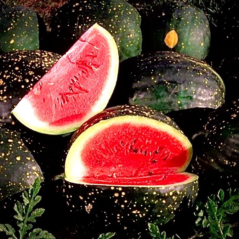 20 Moon and Stars Red Cherokee watermelon￼ Seeds/NON-GMO FREE SHIPPING!