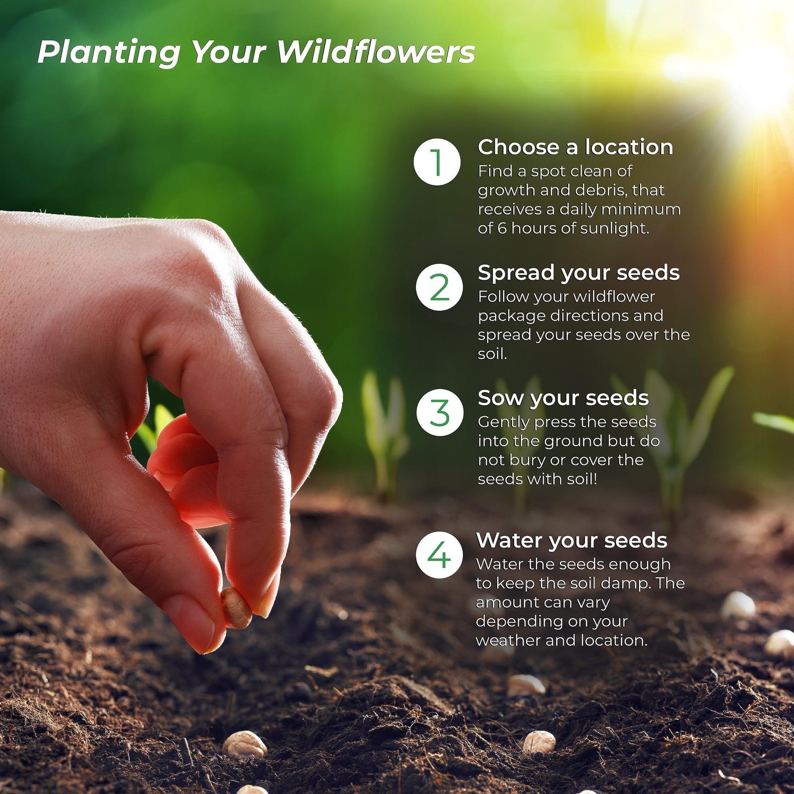 Created By Nature Iowa Wildflower Seed Mix, 16 Flower Varieties, 40,000 Seeds