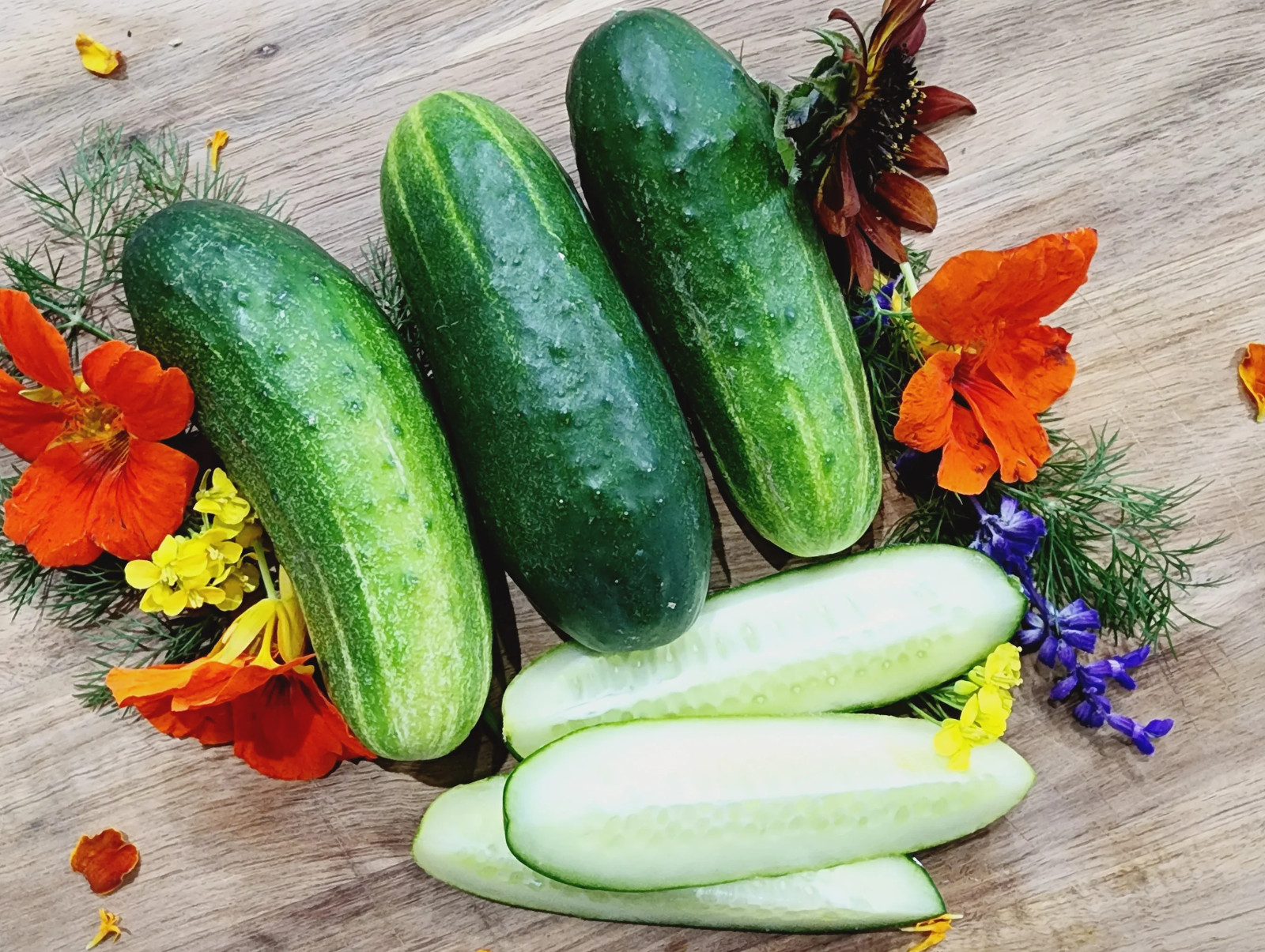 25+ Wisconsin SMR-58 Cucumber Seeds – Pickling — Heirloom – Organic – NON GMO