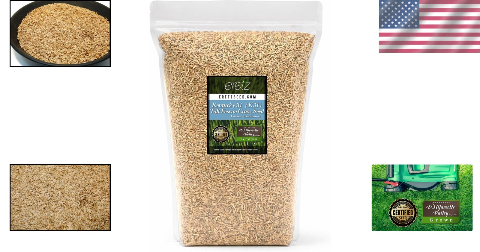 Durable Kentucky 31 Tall Fescue Grass Seed – For Heavy Traffic Areas 3lbs