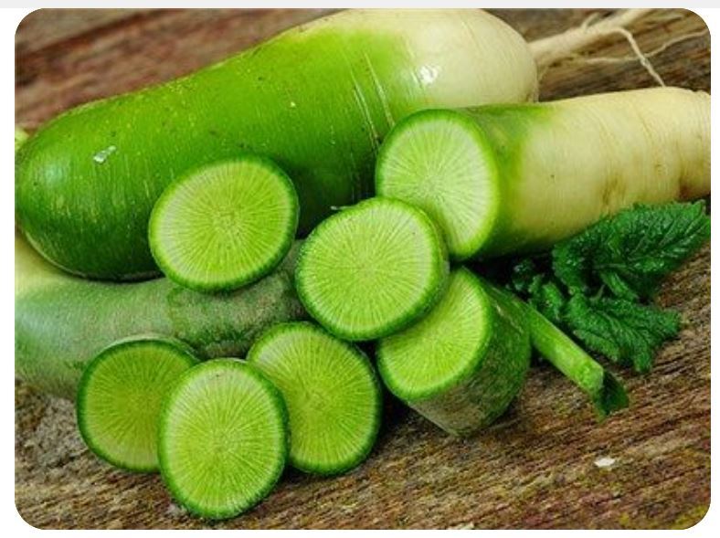 GREEN RADISH – CHINESE – GREEN LUOBO 2 g PACKET ~150 SEEDS