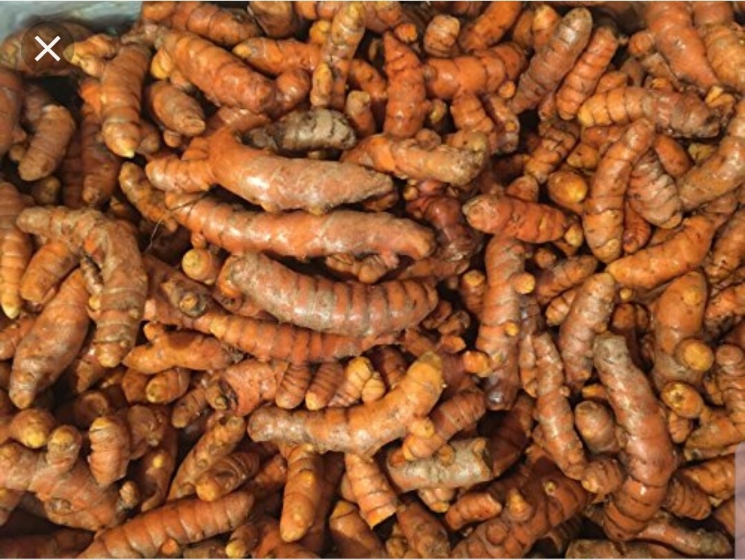 8oz ORGANIC TURMERIC ROOTS – Free 8oz when you buy 3 orders, Healthy Curcuma