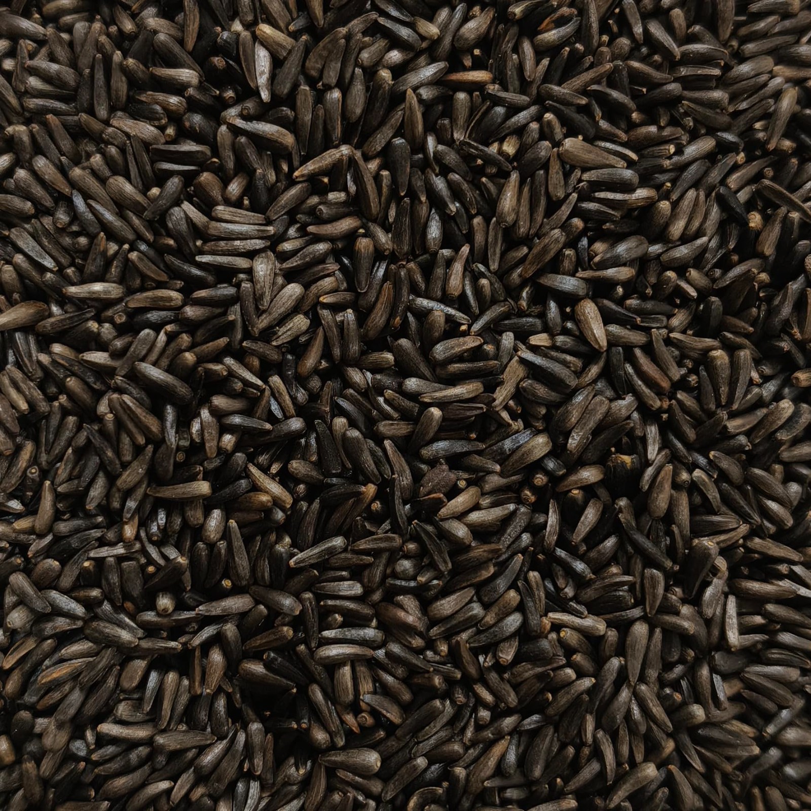 Nyjer Thistle Seeds for Wild Birds – 5 lbs, No Grow Seed with Empty Sock