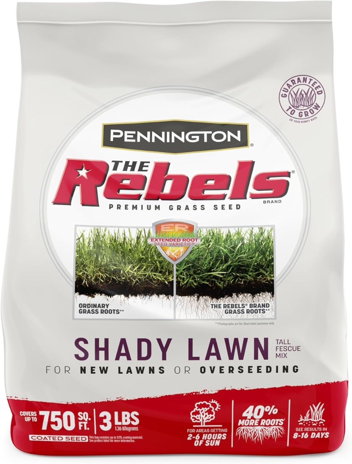 Tall Fescue Grass Seed Shady Lawn Mix – Ideal for Low Light & Drought Resistance