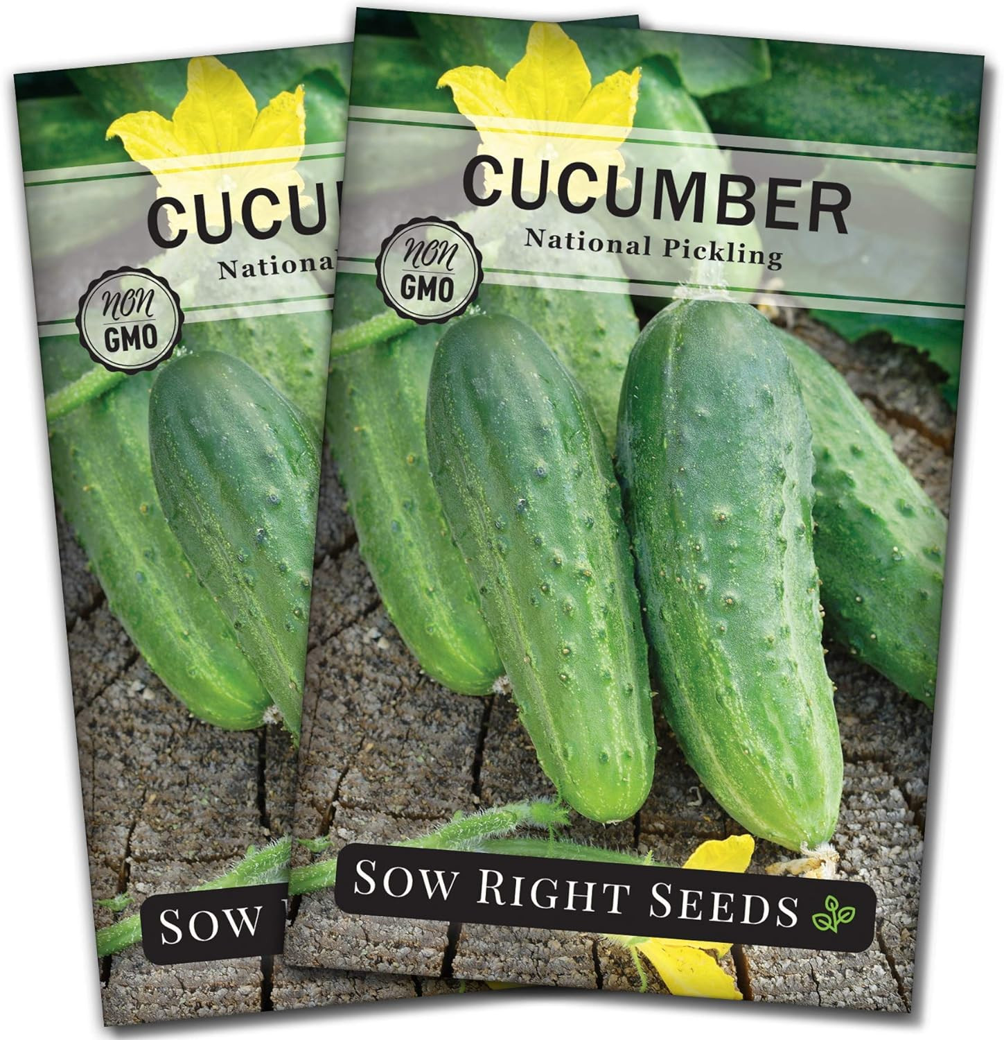 – National Pickling Cucumber Seeds for Planting – Non-Gmo Heirloom Packet with I