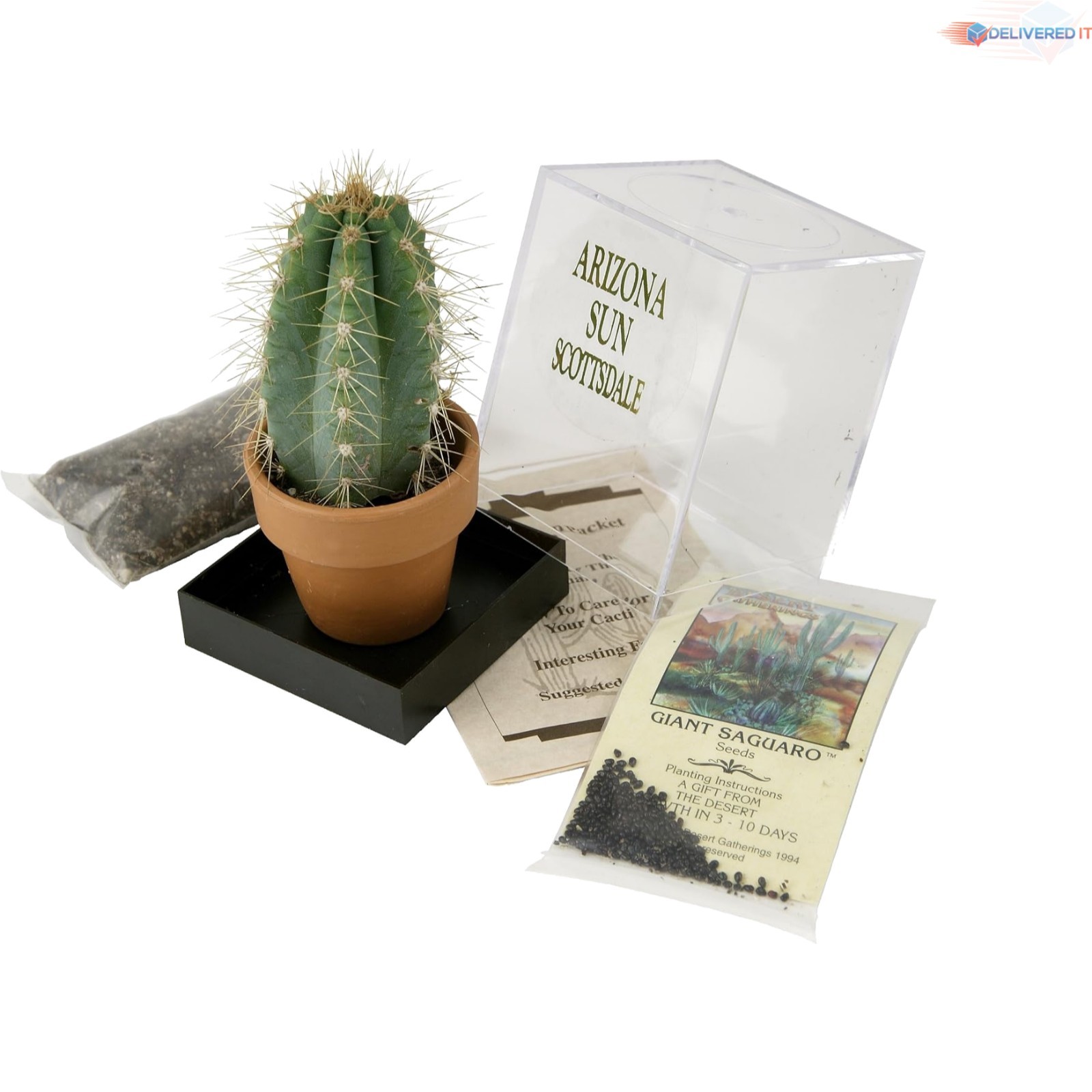 Grow Your Own Saguaro Cactus Kit Incubator Seeds Southwest Arizona Gift