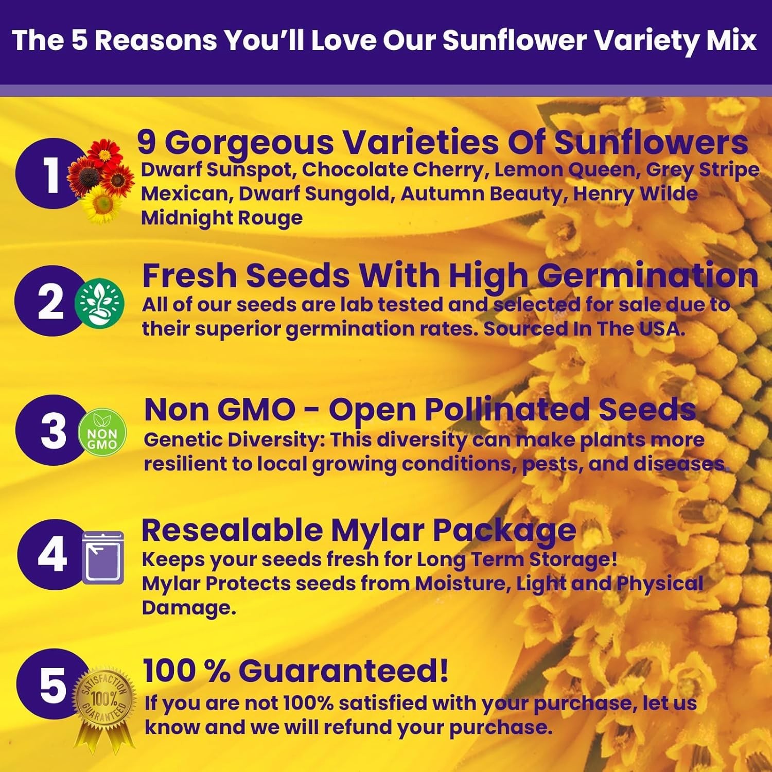 8 Oz Bulk Pack of 5200 Pure Non-GMO Sunflower Seeds for Vibrant Summer Gardens
