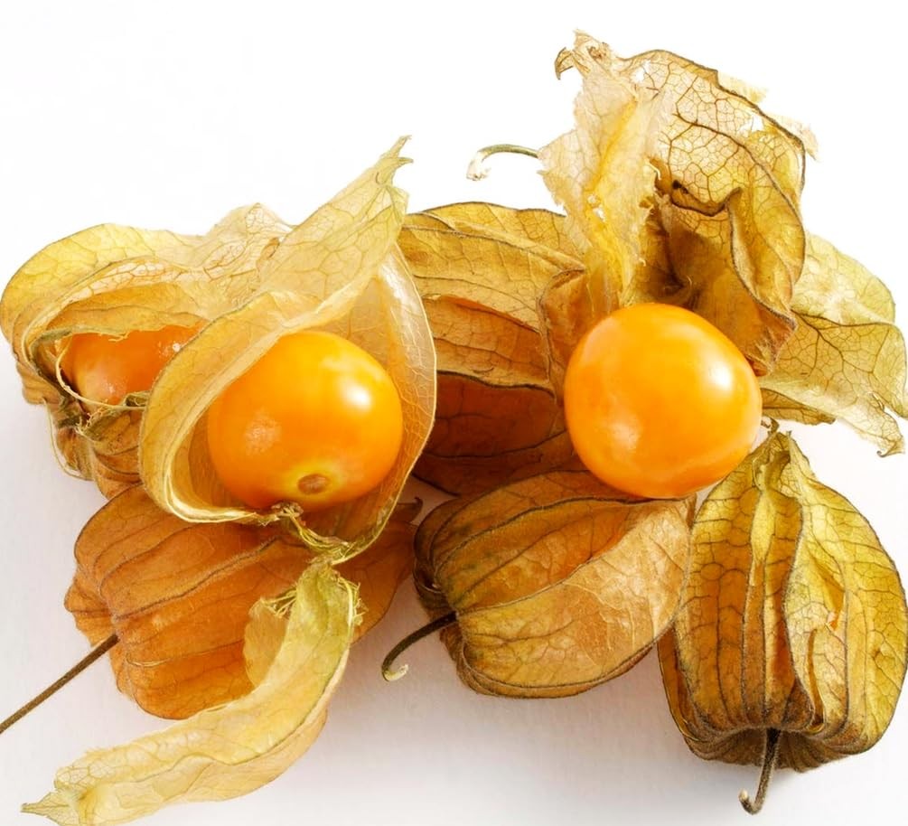 Buy Non-GMO Cape Gooseberry Seeds – 100+ Heirloom Seeds for Planting